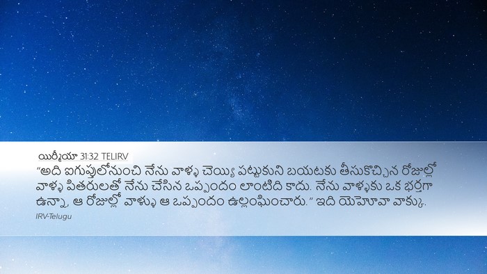 యిర్మీయా 31:32 TELIRV Bible Verse Image