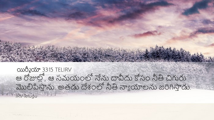 యిర్మీయా 33:15 TELIRV Bible Verse Image
