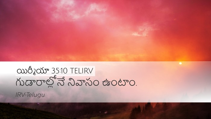 యిర్మీయా 35:10 TELIRV Bible Verse Image
