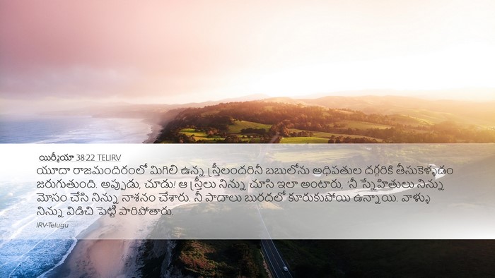 యిర్మీయా 38:22 TELIRV Bible Verse Image