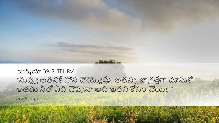 యిర్మీయా 39:12 TELIRV Desktop Wallpaper - “నువ్వు అతనికి - Desktop Bible Verse Wallpaper