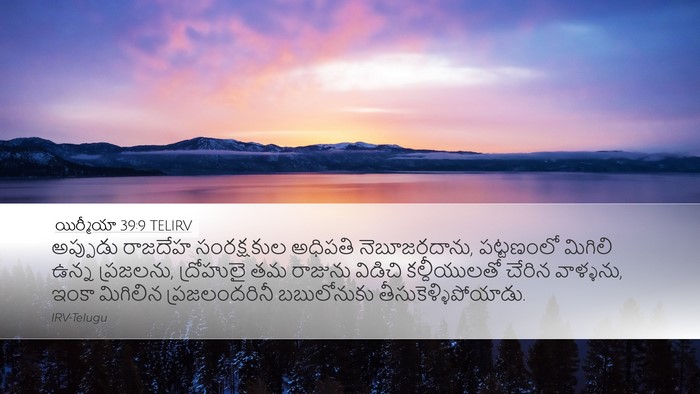 యిర్మీయా 39:9 TELIRV Bible Verse Image