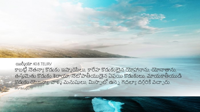 యిర్మీయా 40:8 TELIRV Bible Verse Image