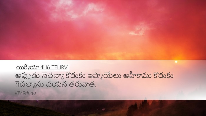 యిర్మీయా 41:16 TELIRV Bible Verse Image
