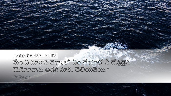 యిర్మీయా 42:3 TELIRV Bible Verse Image
