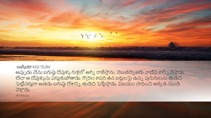 యిర్మీయా 43:12 TELIRV Bible Verse Image