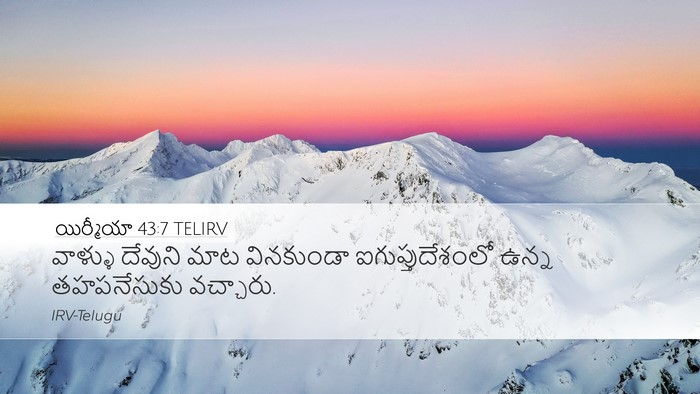 యిర్మీయా 43:7 TELIRV Bible Verse Image