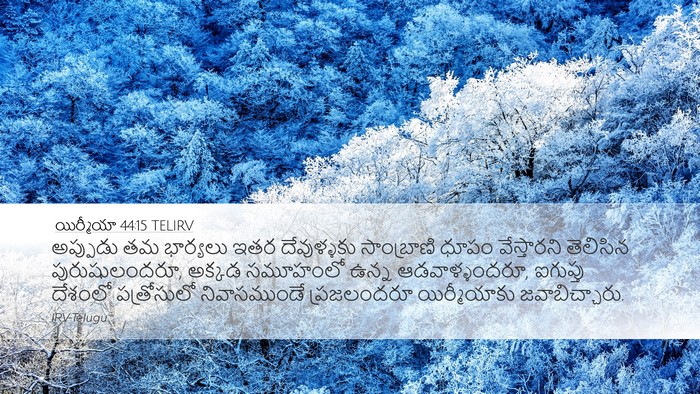 యిర్మీయా 44:15 TELIRV Bible Verse Image