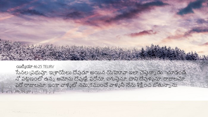 యిర్మీయా 46:25 TELIRV Bible Verse Image