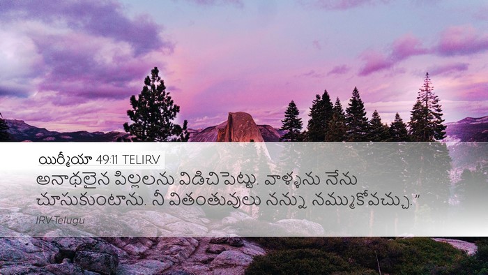 యిర్మీయా 49:11 TELIRV Bible Verse Image
