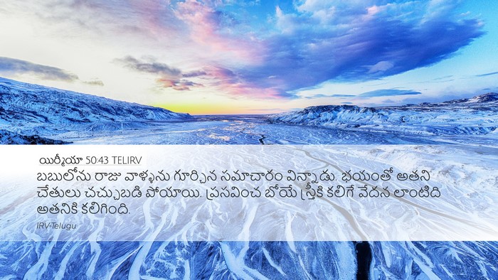 యిర్మీయా 50:43 TELIRV Bible Verse Image