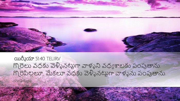 యిర్మీయా 51:40 TELIRV Bible Verse Image
