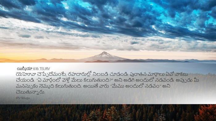 యిర్మీయా 6:16 TELIRV Bible Verse Image