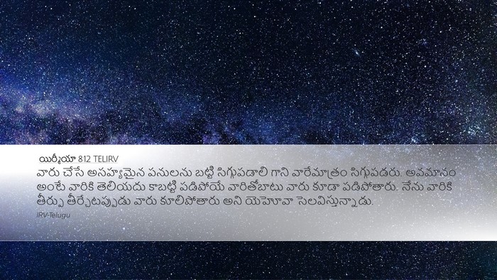 యిర్మీయా 8:12 TELIRV Bible Verse Image