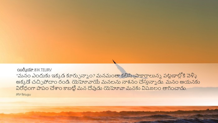 యిర్మీయా 8:14 TELIRV Bible Verse Image