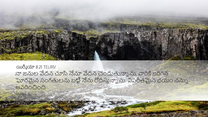 యిర్మీయా 8:21 TELIRV Bible Verse Image