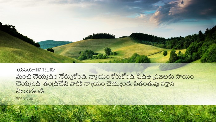 యెషయా 1:17 TELIRV Bible Verse Image