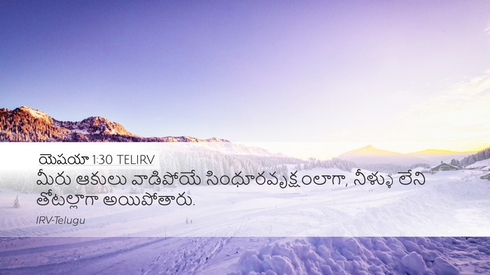 యెషయా 1:30 TELIRV Bible Verse Image