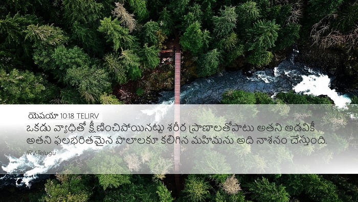 యెషయా 10:18 TELIRV Bible Verse Image