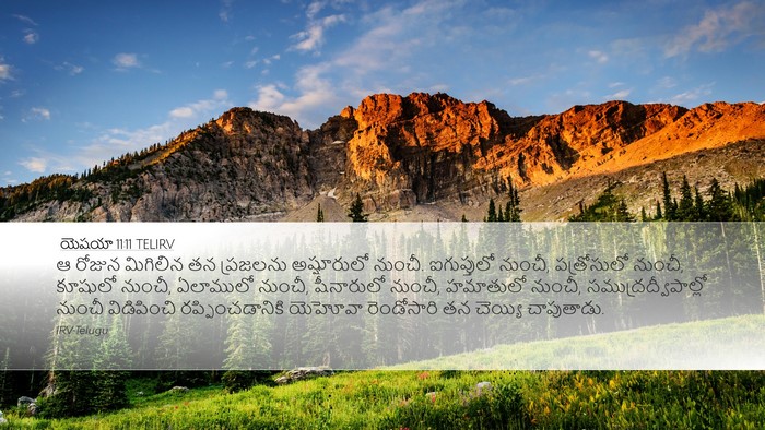 యెషయా 11:11 TELIRV Bible Verse Image