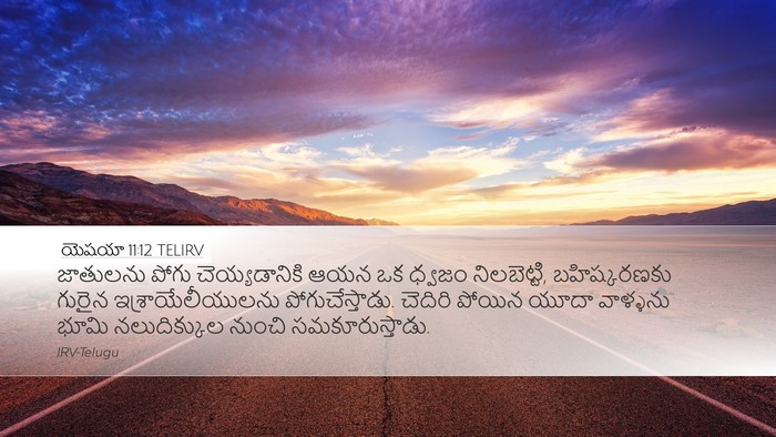 యెషయా 11:12 TELIRV Bible Verse Image