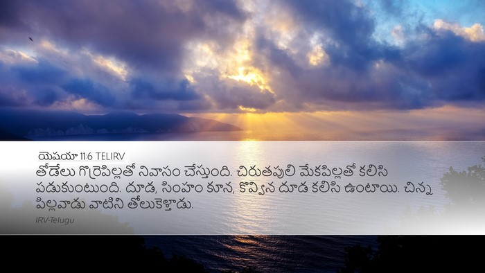 యెషయా 11:6 TELIRV Bible Verse Image