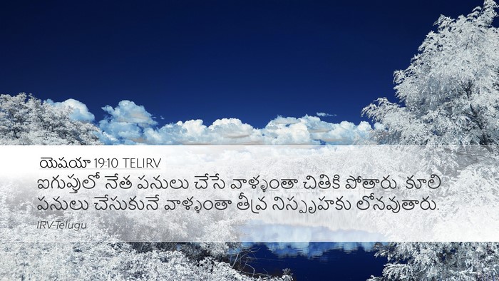 యెషయా 19:10 TELIRV Desktop Wallpaper - ఐగుప్తులో నేత - Desktop Bible Verse Wallpaper