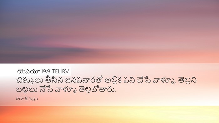 యెషయా 19:9 TELIRV Bible Verse Image