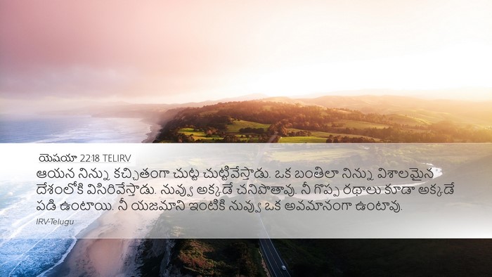 యెషయా 22:18 TELIRV Bible Verse Image