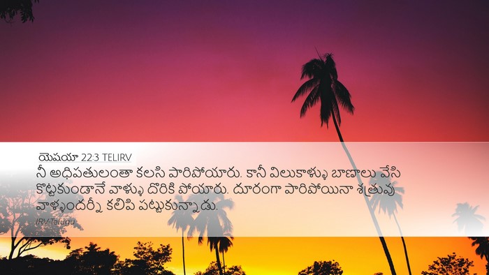 యెషయా 22:3 TELIRV Bible Verse Image