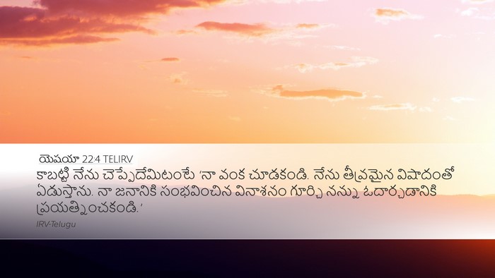 యెషయా 22:4 TELIRV Bible Verse Image