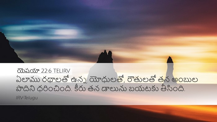 యెషయా 22:6 TELIRV Bible Verse Image