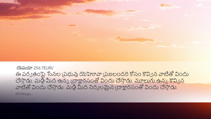 యెషయా 25:6 TELIRV Bible Verse Image