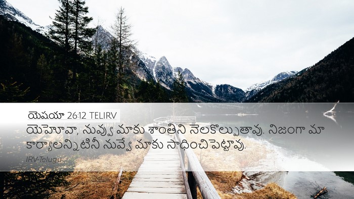 యెషయా 26:12 TELIRV Bible Verse Image