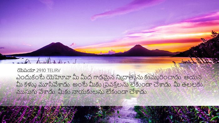 యెషయా 29:10 TELIRV Bible Verse Image
