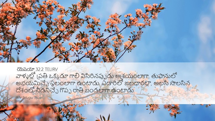 యెషయా 32:2 TELIRV Bible Verse Image