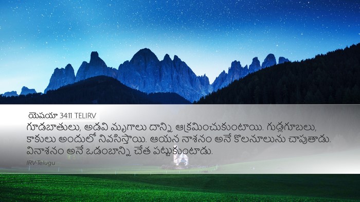 యెషయా 34:11 TELIRV Bible Verse Image