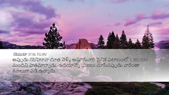 యెషయా 37:36 TELIRV Bible Verse Image