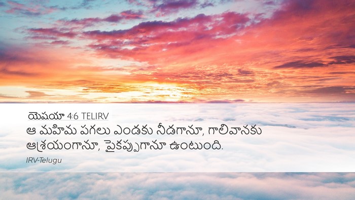 యెషయా 4:6 TELIRV Bible Verse Image