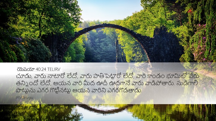 యెషయా 40:24 TELIRV Bible Verse Image