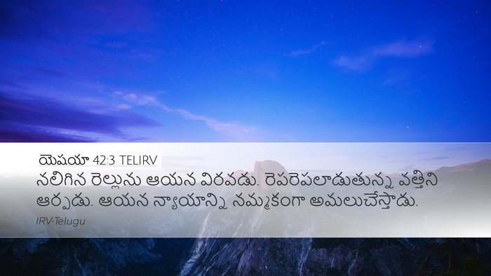 యెషయా 42:3 TELIRV Bible Verse Image