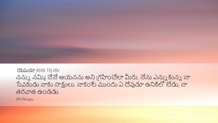 యెషయా 43:10 TELIRV Bible Verse Image