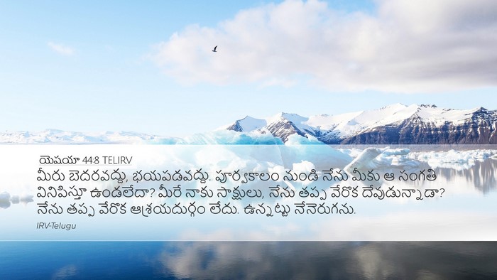 యెషయా 44:8 TELIRV Bible Verse Image