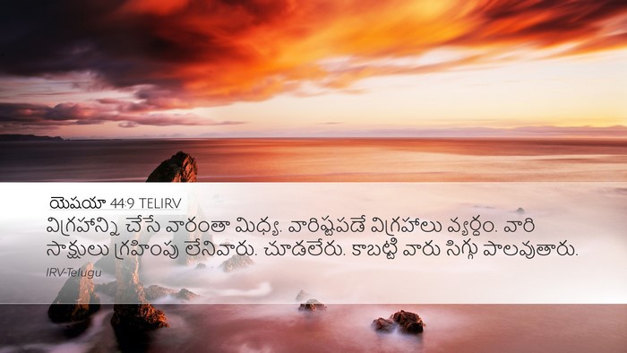 యెషయా 44:9 TELIRV Bible Verse Image