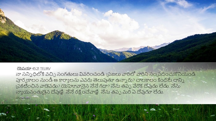 యెషయా 45:21 TELIRV Bible Verse Image