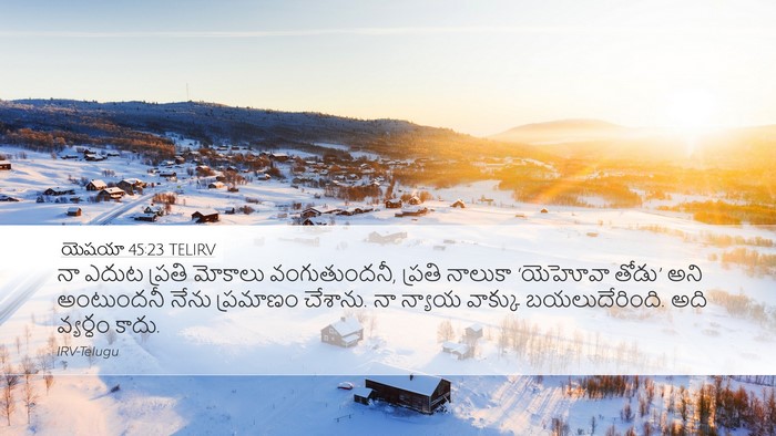 యెషయా 45:23 TELIRV Bible Verse Image
