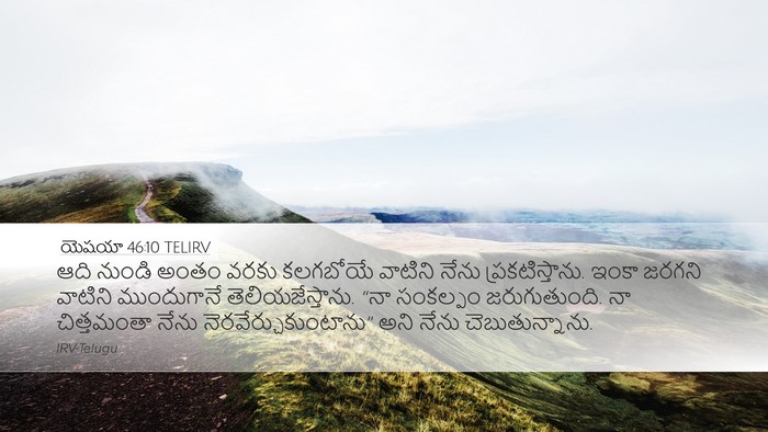 యెషయా 46:10 TELIRV Bible Verse Image