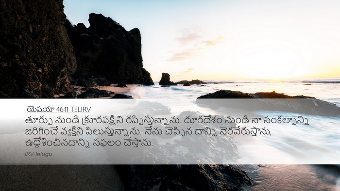 యెషయా 46:11 TELIRV Bible Verse Image