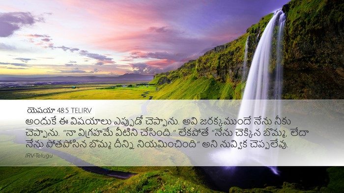 యెషయా 48:5 TELIRV Bible Verse Image