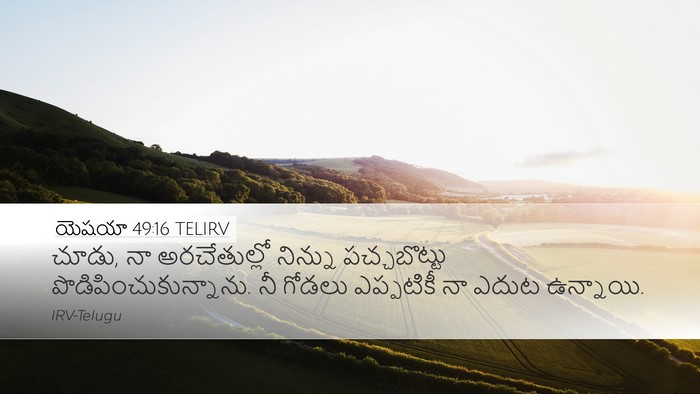 యెషయా 49:16 TELIRV Bible Verse Image